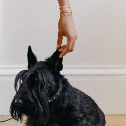 Bracelet Souple CANDY -Agatha.fr Boutique 02480341 256 TU M2