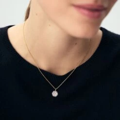 Collier Ras Du Cou BLOSSOM -Agatha.fr Boutique 02680220 137 TU M1