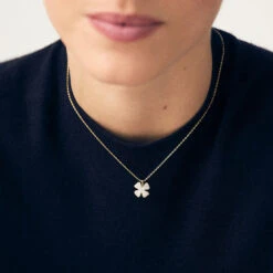 Collier Ras Du Cou FELICIA 8 Collier Ras Du Cou FELICIA -Agatha.fr Boutique 02680422 113 TU M1