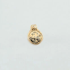 Pendentif CAPRICORNE ZODIAQUE